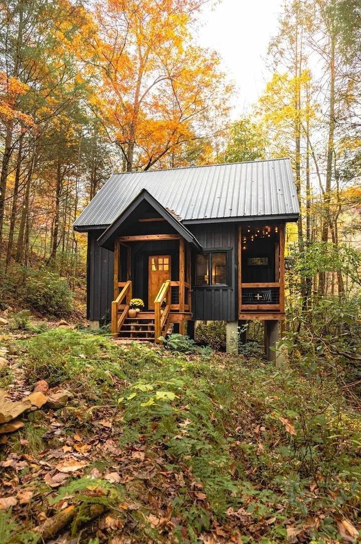 Cabin inspiration 1